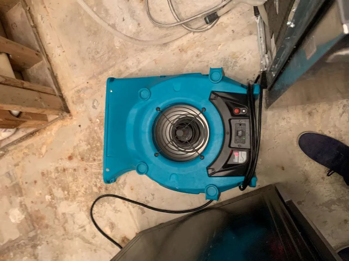 Air mover drying equipment for Mold Remediation & Removal in Madison
